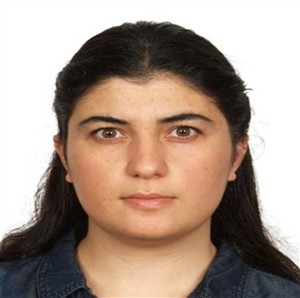 Bölüm Kurulu